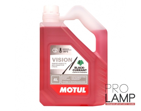MOTUL Vision Black Currant -20°C - 4 л.: 6812ed5f72bfdc1e572955d124e4d52c